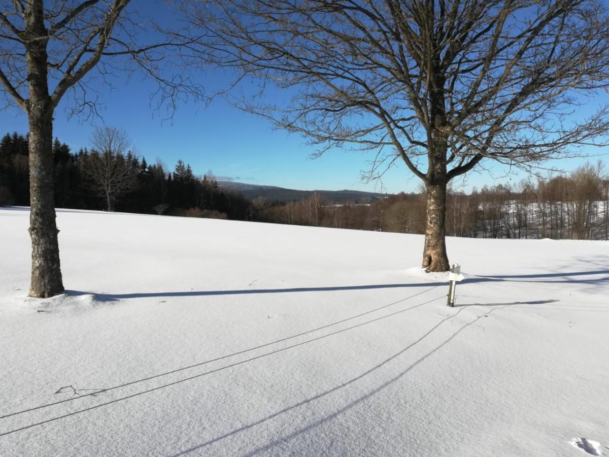 Fahrenbach-alm Apartment